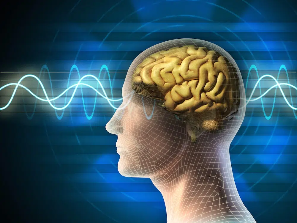The Neuro Wave